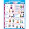 Poster Pals® Irregular Spanish Verb Poster, 7ct.
